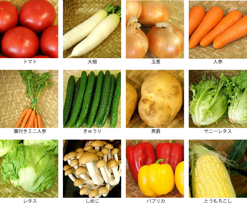 一般野菜の写真